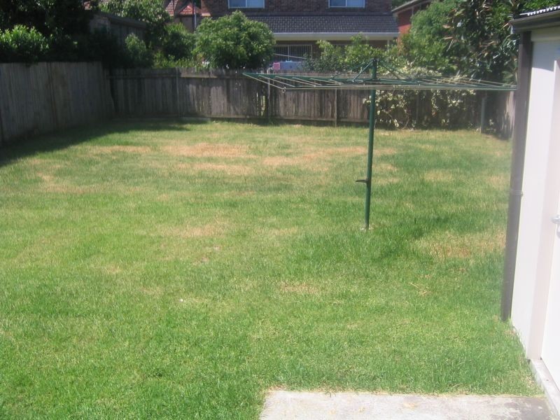 17 Balfour Street, Dulwich Hill NSW 2203