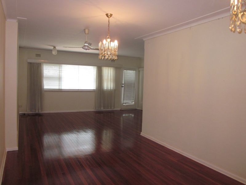 38 John Street, Ashfield NSW 2131