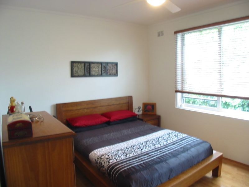 8/2 Blackwood Avenue, Ashfield NSW 2131