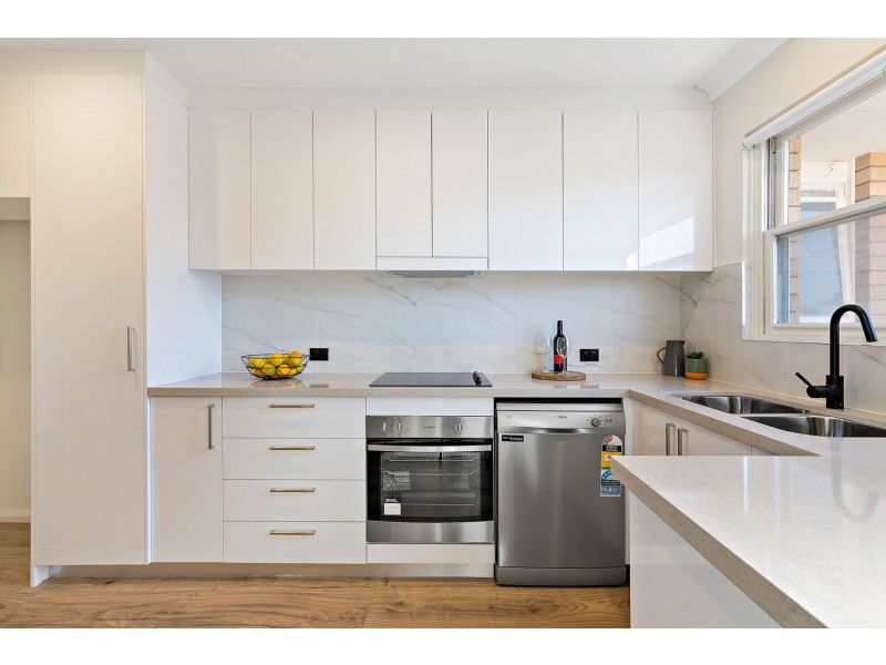 44 Chandos Street, Ashfield NSW 2131