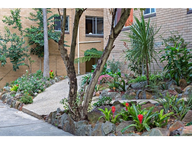 60 Alt Street, Ashfield NSW 2131