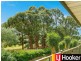 4/51b Burwood Road, Concord NSW 2137