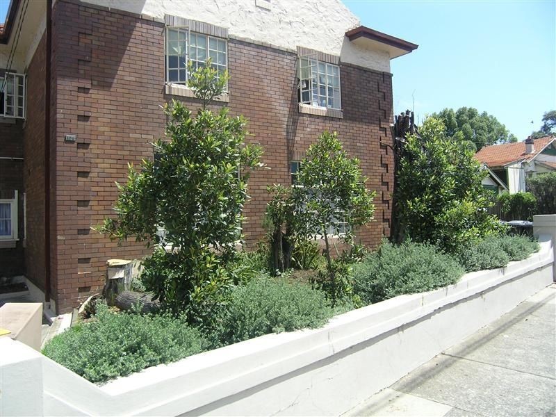 106 Liverpool Road, Ashfield NSW 2131