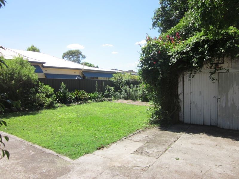 177 Elizabeth Street, Ashfield NSW 2131