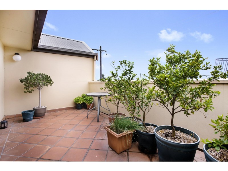 42/8 Cavill Avenue,, Ashfield NSW 2131