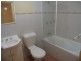 14/106 Elizabeth Street, Ashfield NSW 2131