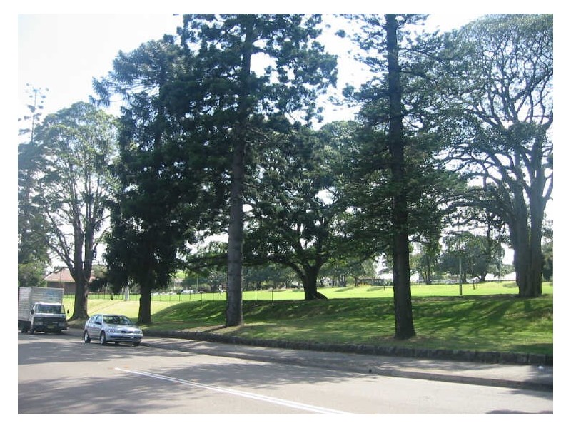 16 Pembroke Street, Ashfield NSW 2131