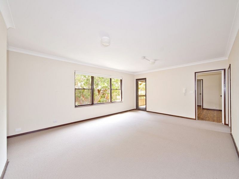 12/49 Charlotte Street, Ashfield NSW 2131