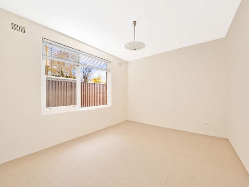 2/3 Blackwood Avenue, Ashfield NSW 2131