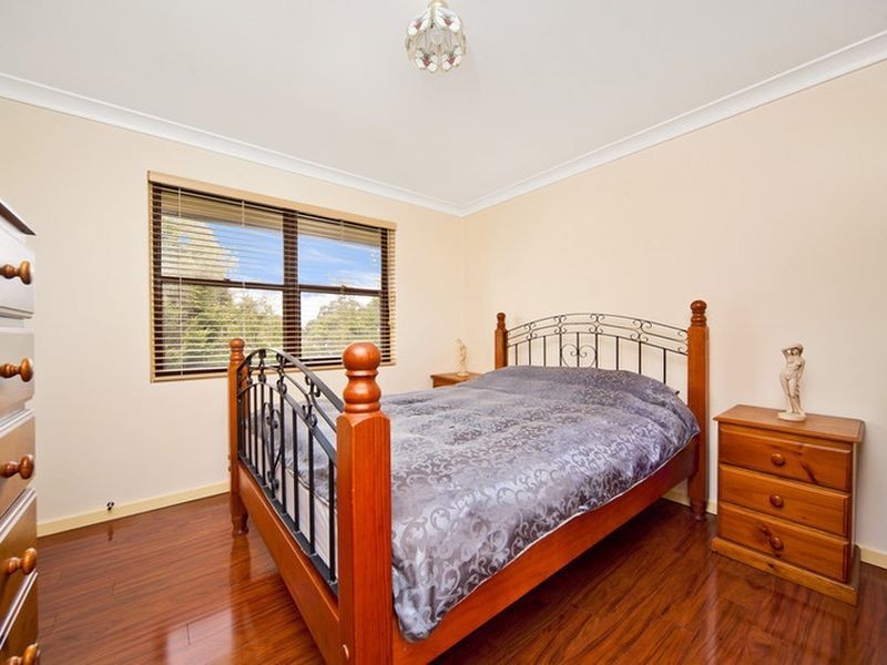 8/49 Charlotte Street, Ashfield NSW 2131