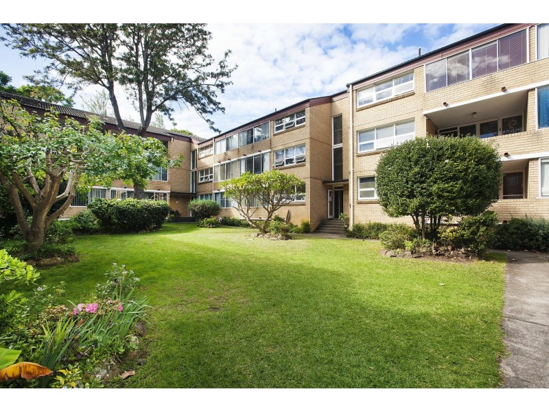 3/115 Alt Street, Ashfield NSW 2131