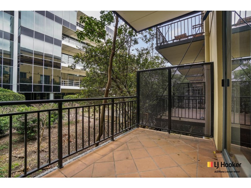 8/8 Cavill Avenue, Ashfield NSW 2131