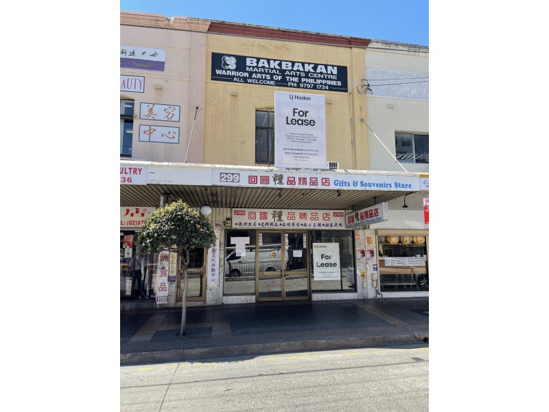 299 Liverpool Road, Ashfield NSW 2131