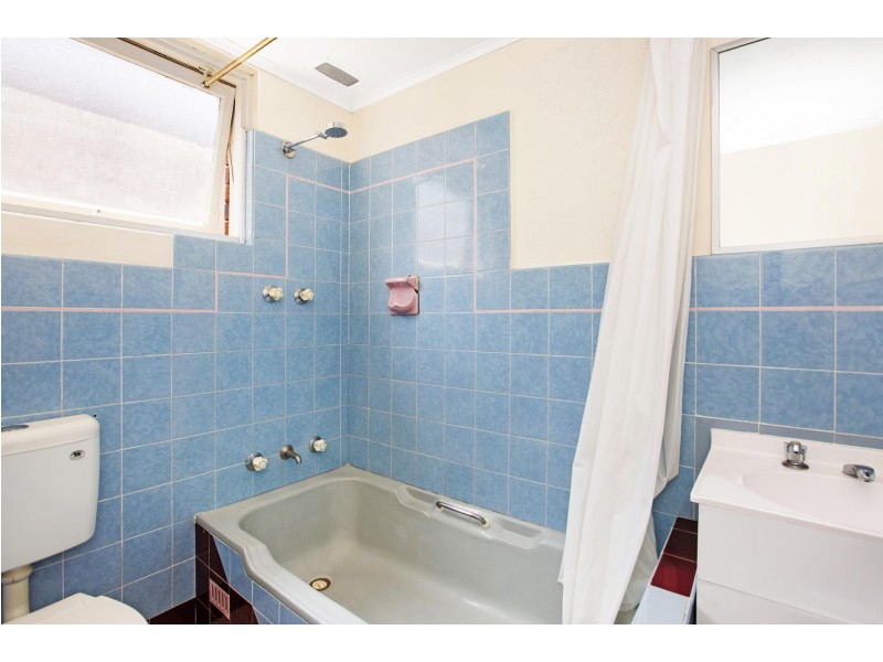 2/14 The Avenue, Ashfield NSW 2131
