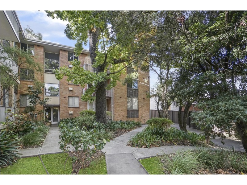 19/44 Ewart Street, Marrickville NSW 2204