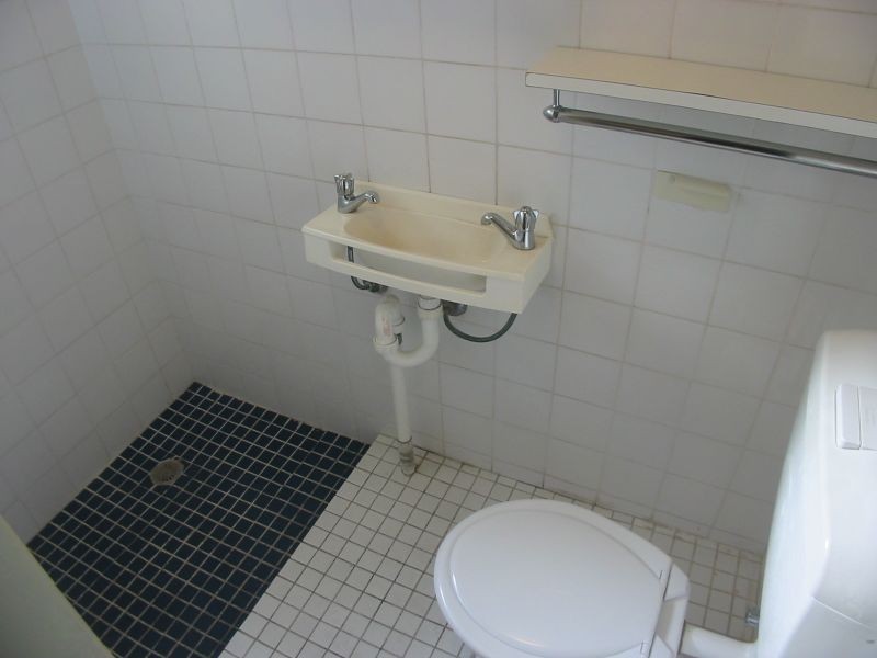 Rear/111 Ramsay Road, Haberfield NSW 2045