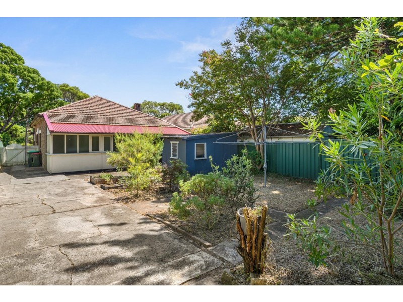 8 Richmond Avenue, Ashfield NSW 2131