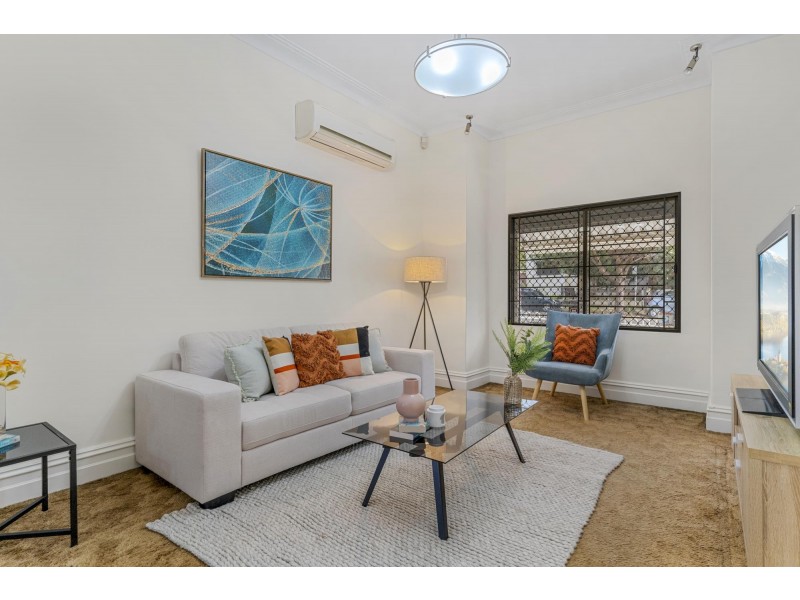 44 Carlisle Street, Ashfield NSW 2131