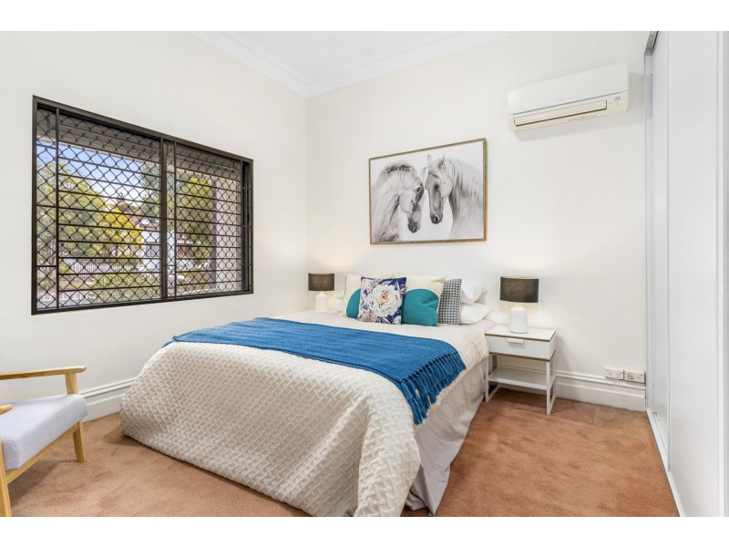 44 Carlisle Street, Ashfield NSW 2131