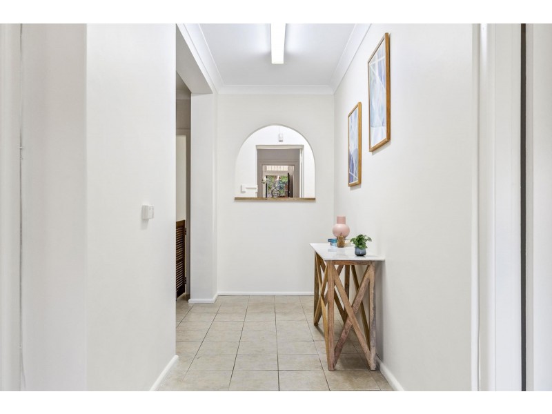 44 Carlisle Street, Ashfield NSW 2131