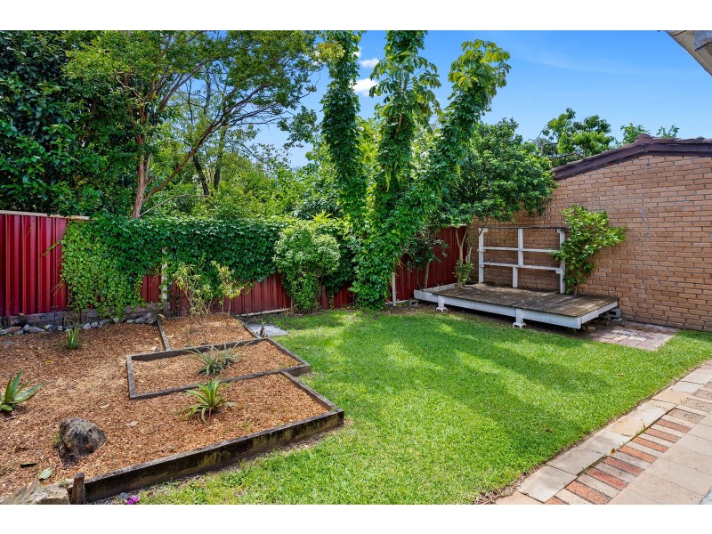 38 Paxton Avenue, Belmore NSW 2192