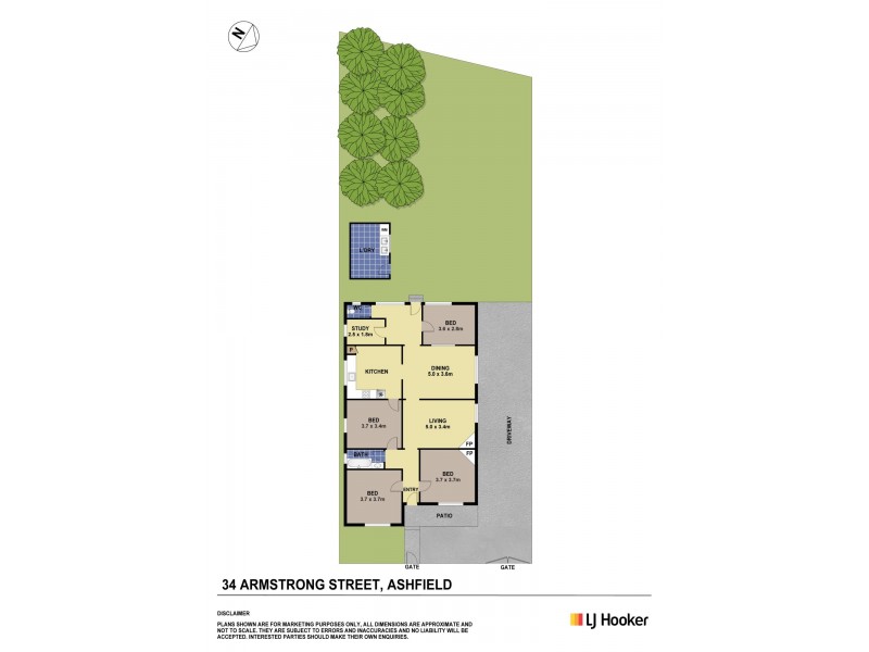 34 Armstrong Street, Ashfield NSW 2131 Floorplan