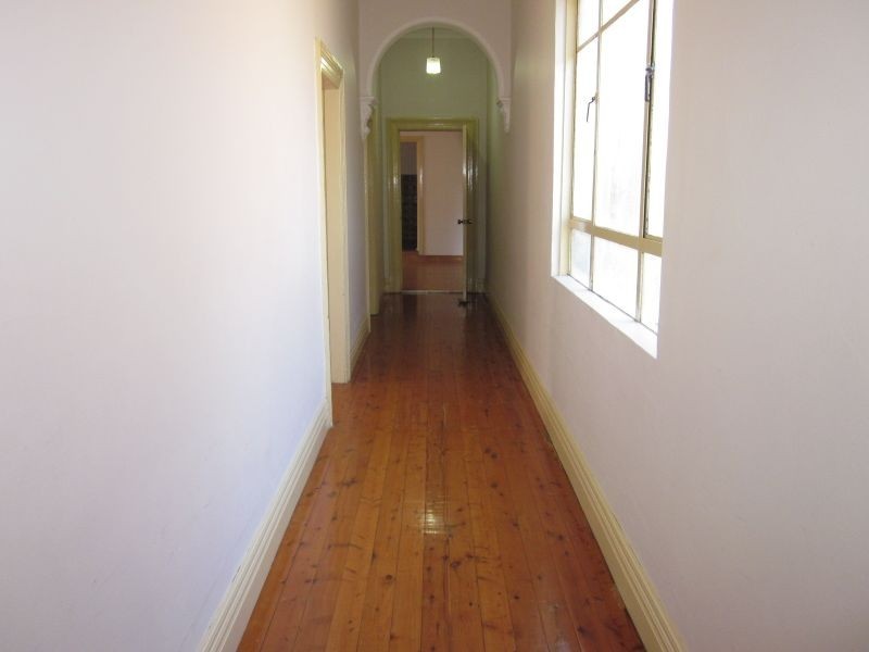 8 Dougan Street, Ashfield NSW 2131
