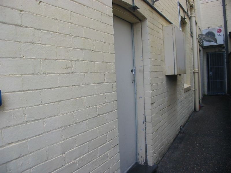 Rear/111 Ramsay Road, Haberfield NSW 2045