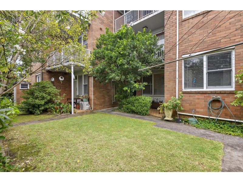 2/3 Blackwood Avenue, Ashfield NSW 2131