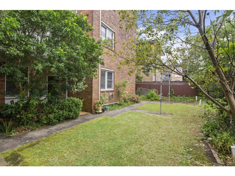2/3 Blackwood Avenue, Ashfield NSW 2131