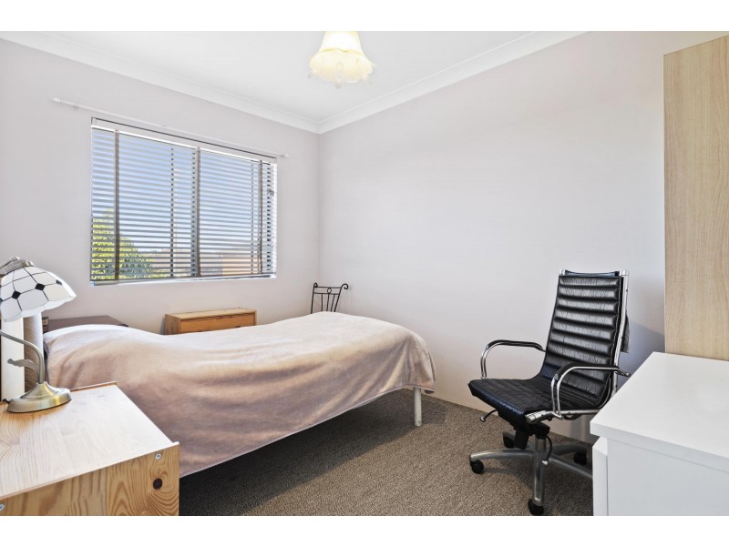 16 Hill Street, Campsie NSW 2194