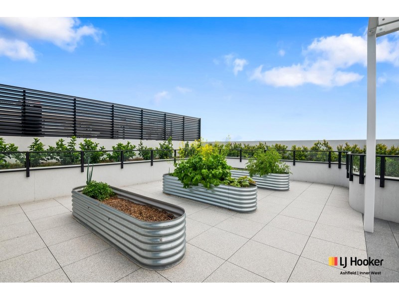 206/75 Norton Street, Ashfield NSW 2131