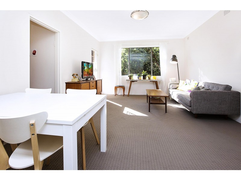 10/11 Jeffrey Street, Canterbury NSW 2193