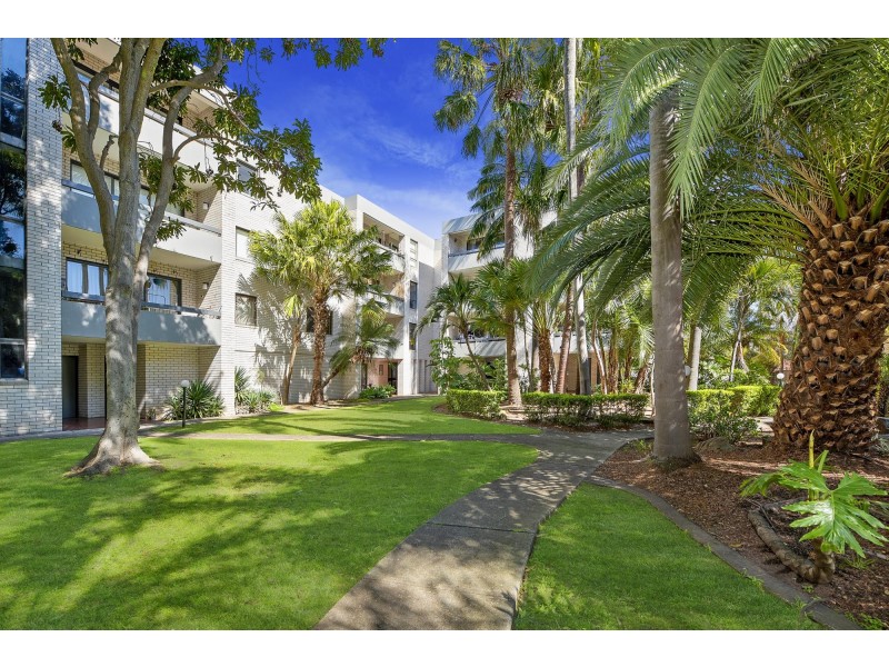 21/92-96 Milton Street, Ashfield NSW 2131