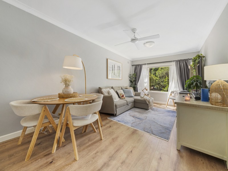 8/46 Alt Street, Ashfield NSW 2131