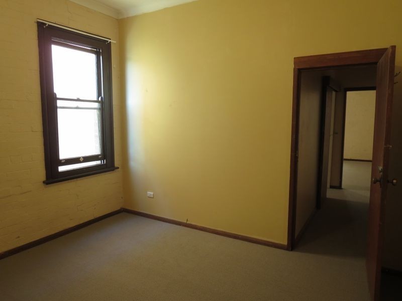 2/3 Hercules Street, Ashfield NSW 2131