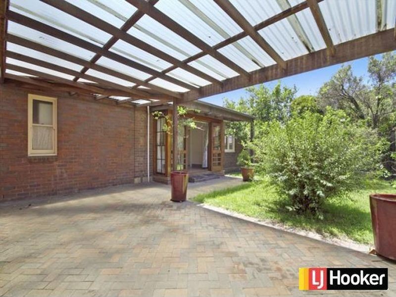 13 Knocklayde Street, Ashfield NSW 2131
