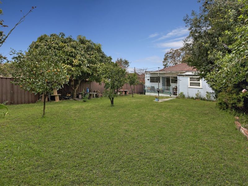 48 Chandos Street, Ashfield NSW 2131