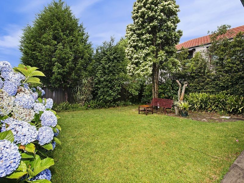 5 Wallace Street, Ashfield NSW 2131