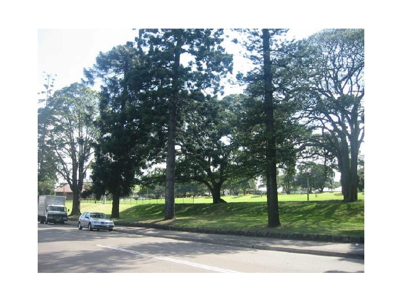 16 Pembroke Street, Ashfield NSW 2131