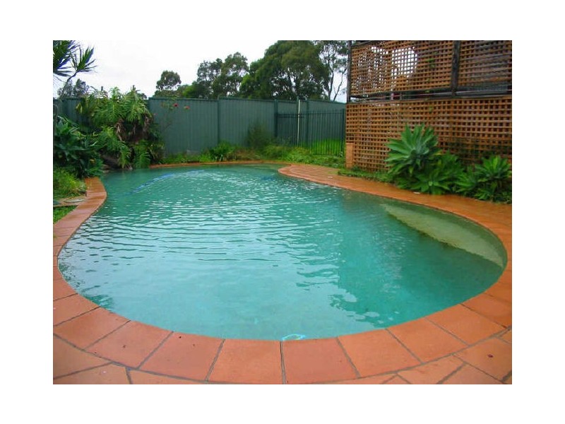 18 Whitfield Avenue, Ashbury NSW 2193