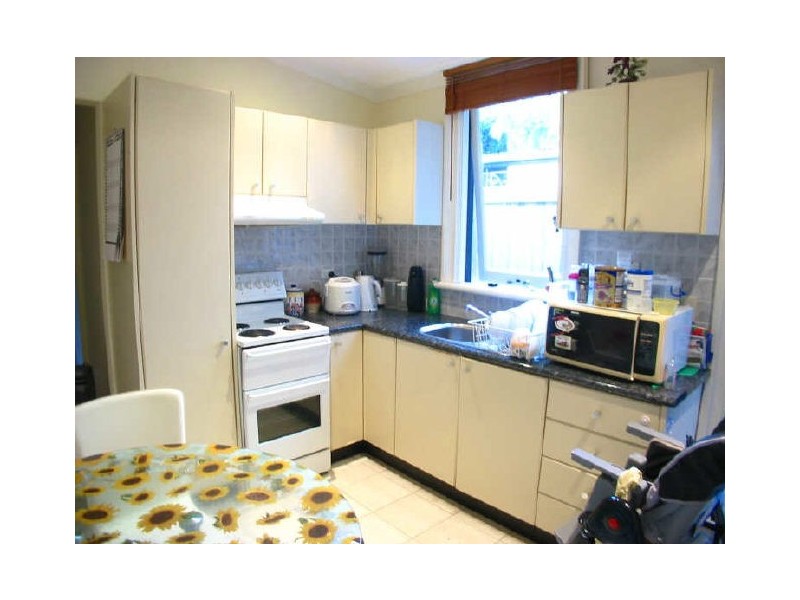 46 Thomas Street, Ashfield NSW 2131