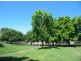 331 Georges River Road, Croydon Park NSW 2133