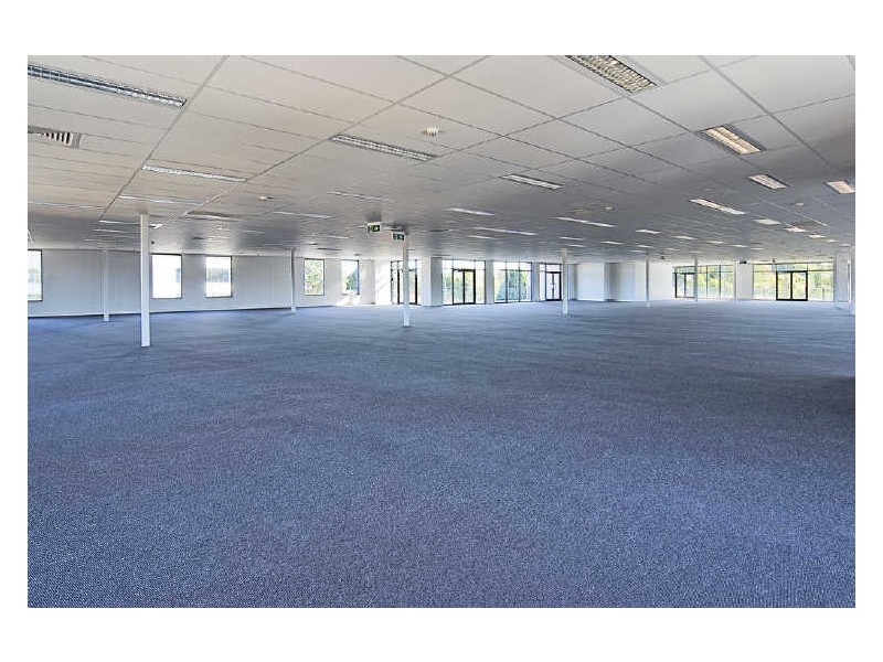 158 Liverpool Rd, Ashfield NSW 2131