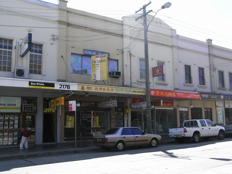 217 Liverpool Rd, Ashfield NSW 2131