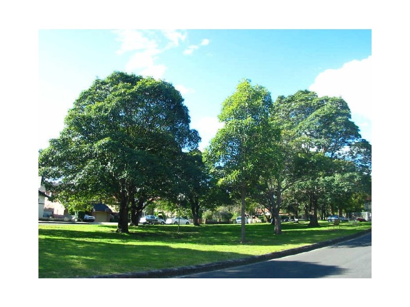 9/8 Brunswick Pde, Ashfield NSW 2131