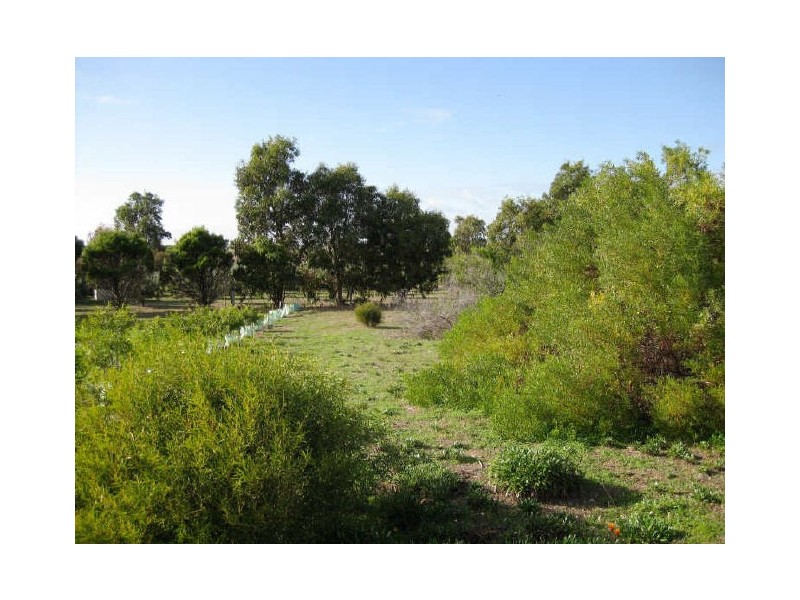 Lot 54 Leonard Court, Parsons Beach via, Minlaton SA 5575