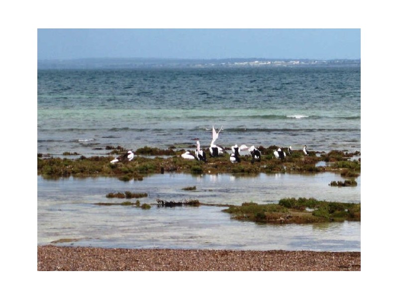 7 Foreshore Road, Hardwicke Bay SA 5575