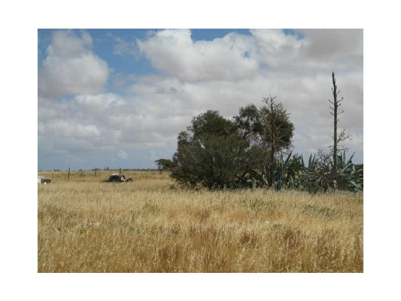 Mickey Flat Road, Curramulka SA 5580