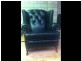 Unique Cab Making and Upholstery Business, Adelaide SA 5000